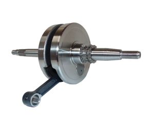 CIGUENAL COMPLETO AX-4