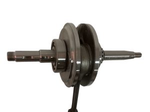 CIGUENAL COMPLETO BOXER-100 CT/PLATINO-100