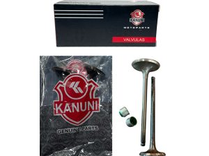 VALVULAS ADMISION Y ESCAPE + SELLOS TVS RTR-160-180 APACHE