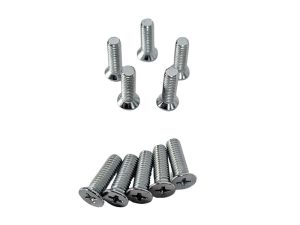 TORNILLO CABEZA PHILIPS DE AVELLAN CROMADO M5*15 (C/U X 10 UND)