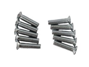 TORNILLO CABEZA PHILIPS DE AVELLAN CROMADO M5*20 (C/U X 10 UND)