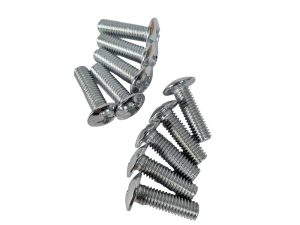 TORNILLO CABEZA PHILIPS DE AVELLAN CROMADO M6*20 (C/U X 10 UND)