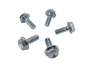 TORNILLO FRENO DISCO DELANTERO AKT-125 SPORT/AKT-125 TT/150 TT/ACTIV-110 ( SET X 5 PCS)